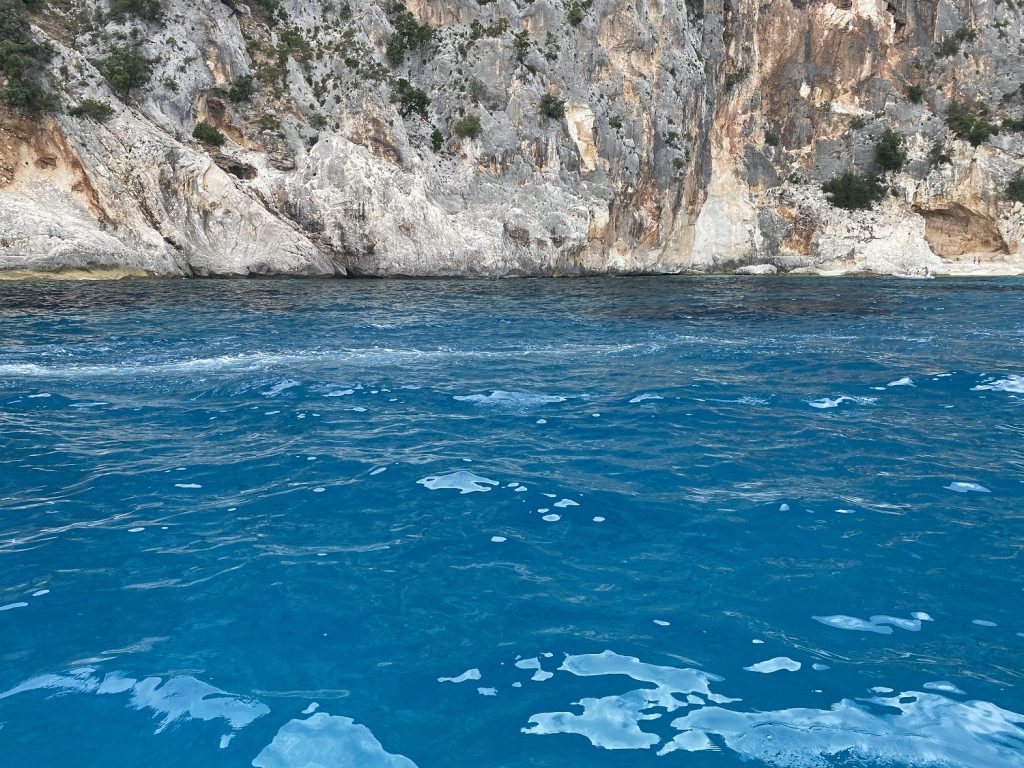 mare
