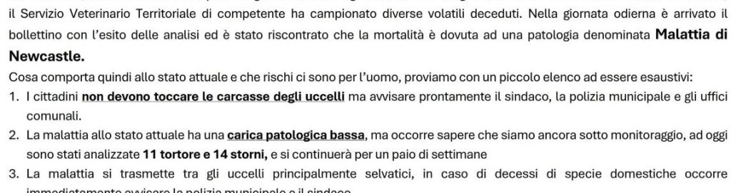tortore e storni