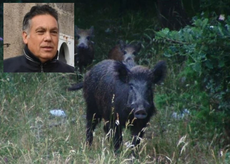 caccia al cinghiale filippo vidili