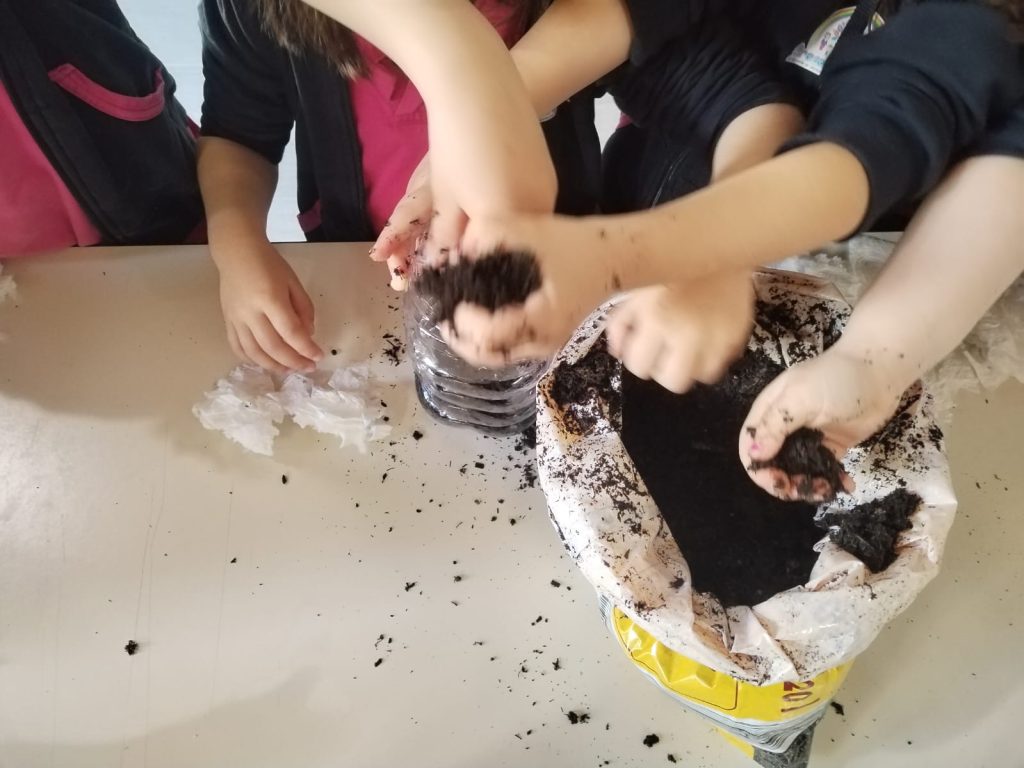 spreco di cibo